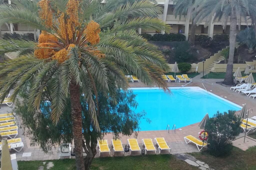 Maspalomas Sandy Beach Apartment プラヤ・デル・イングレス エクステリア 写真
